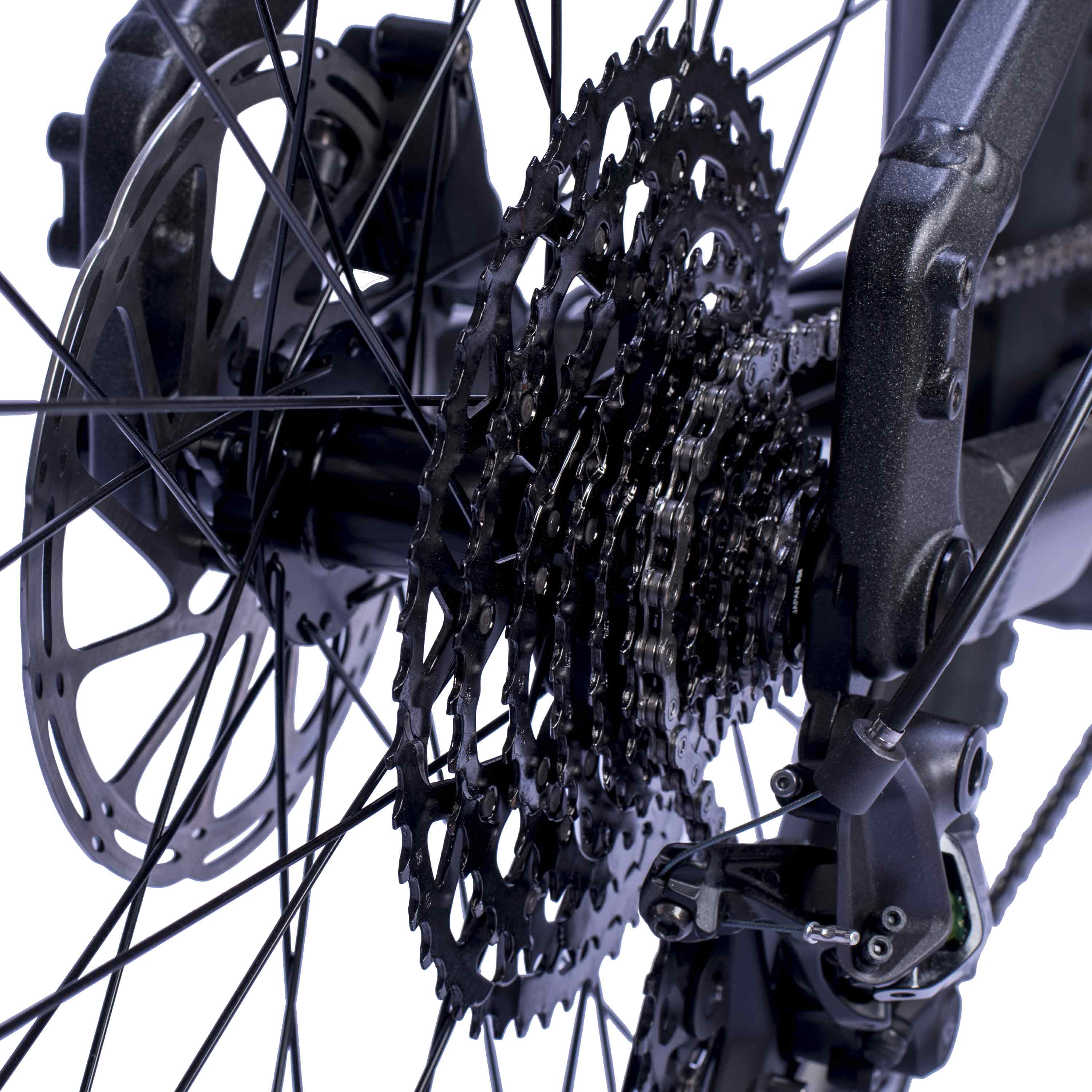 29" Herren E-MTB STREAMER CX11 BOSCH PERFORMANCE LINE CX GEN 5 (120 Nm) Smart System POWERTUBE 600Wh 11 GANG SHIMANO XT RD-M8310 Schwarz