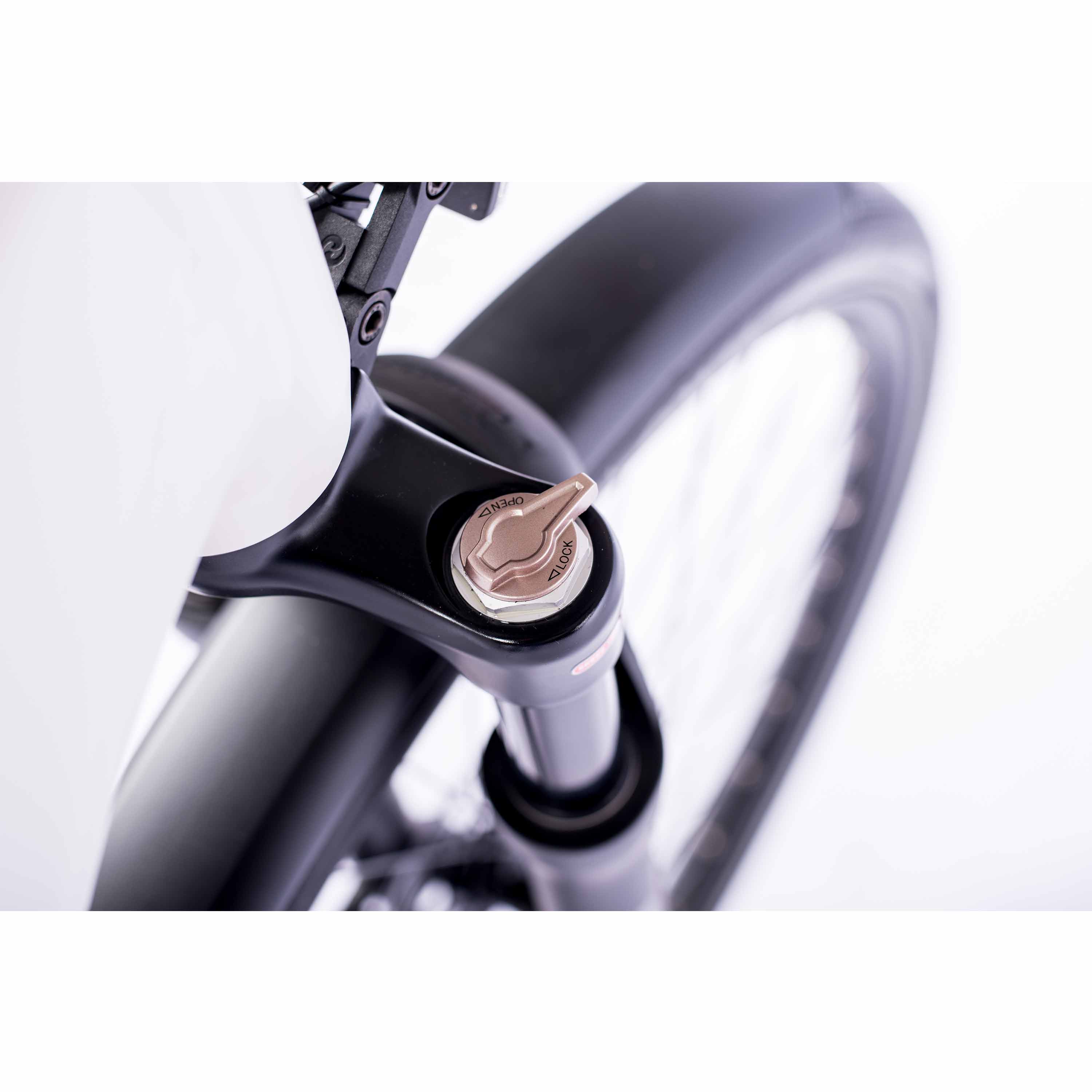 28" Damen E-Bike Trekking Fahrrad LS TERRA TR2 BOSCH Performance Line PX (Smart) POWERTUBE 600Wh 10 Gang SHIMANO DEORE RD-M5130