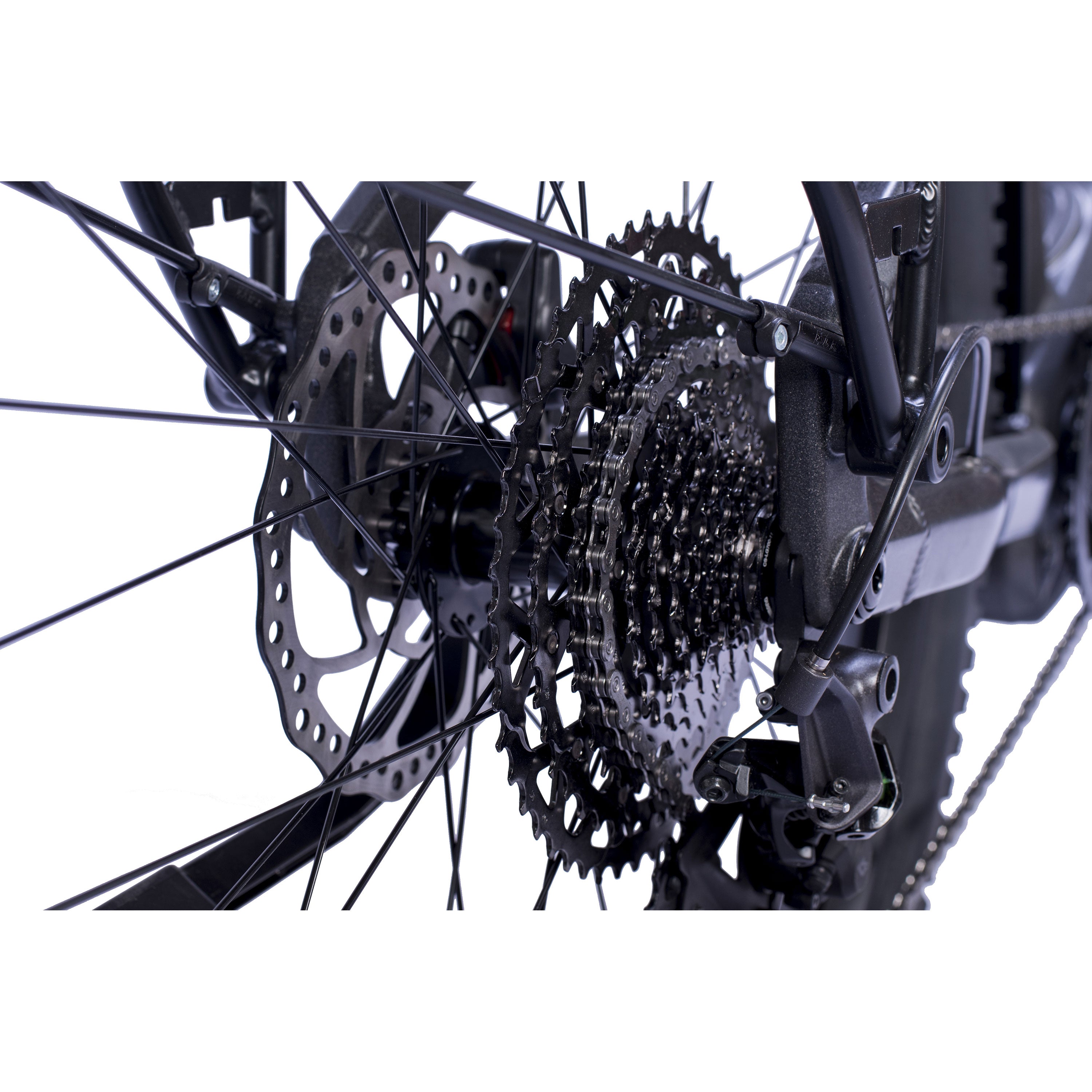 29" Herren E-SUV MTB STREAMER CX11 BOSCH PERFORMANCE LINE CX GEN 5 (Smart) POWERTUBE 600Wh 11 GANG SHIMANO XT RD-M8130